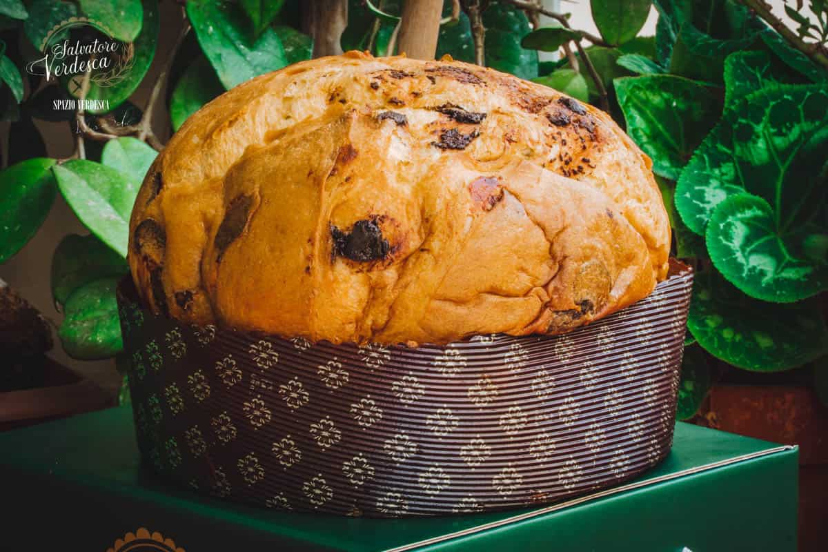 Panettone artigianale ai 3 cioccolati - 1 KG. - Salvatore Verdesca