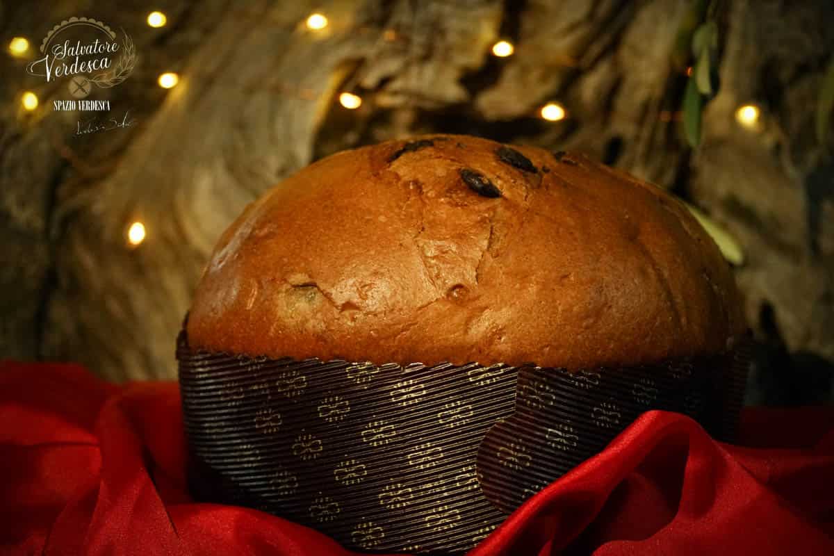 Panettone Molfettone (senza lattosio) - 1 KG. - Salvatore Verdesca