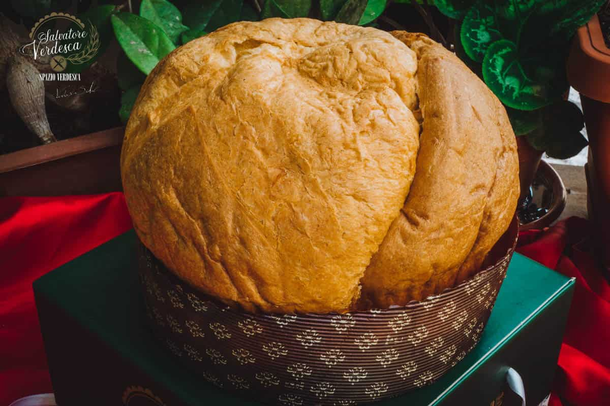 Panettone artigianale tipo Pandoro - 1 KG. - Salvatore Verdesca